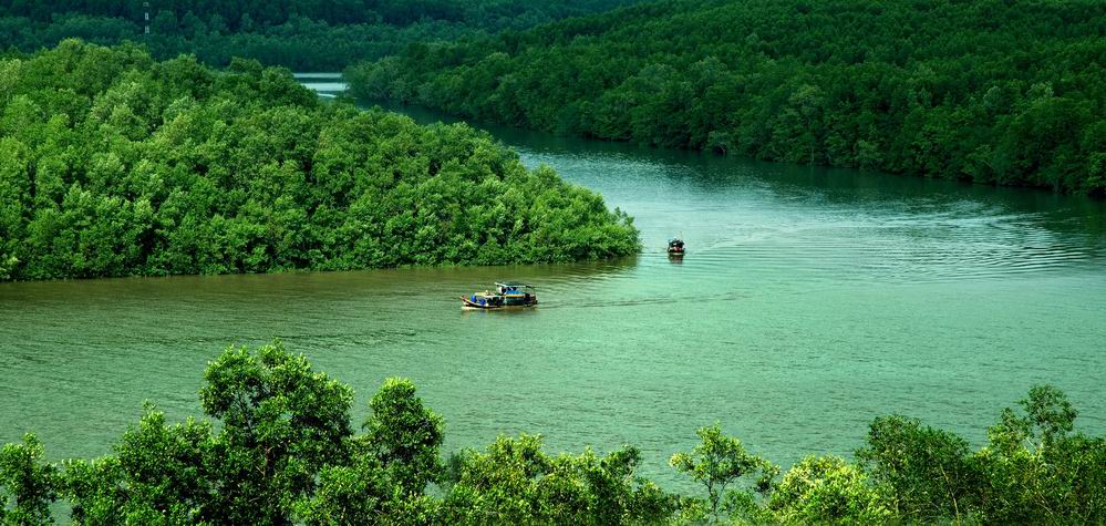 Useful information about visiting Can Gio, Saigon Useful information about visiting Can Gio, Saigon